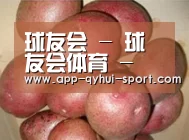产品展示标题1
