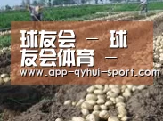 种植基地七(图1)