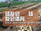 种植基地八