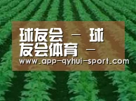 种植基地六(图1)