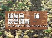 种植基地八(图1)
