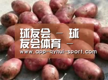 产品展示标题5(图1)